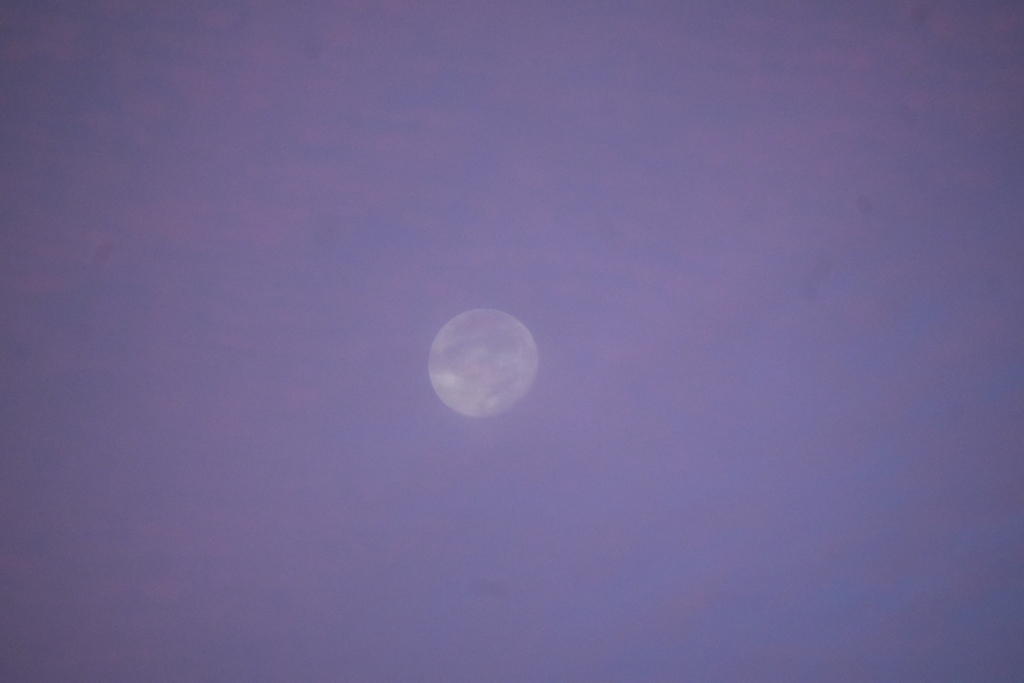 朝焼けの月