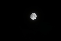 DSC05901