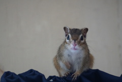 DSC05890