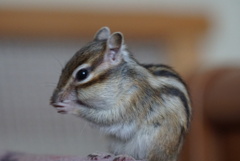 DSC02040