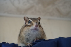 DSC04070