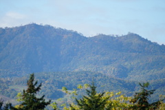 DSC06748