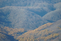 DSC09433