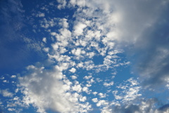 DSC04420
