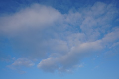 DSC04506_1