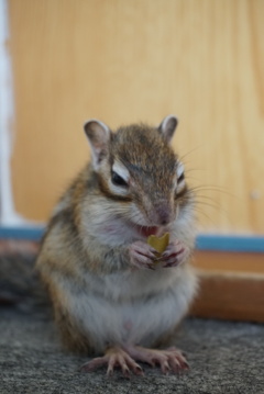 DSC09850