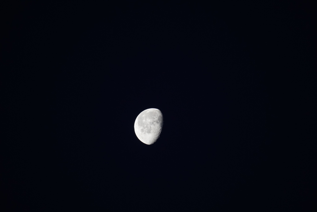 DSC03190_1