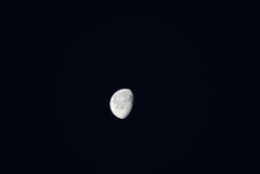 DSC03190_1
