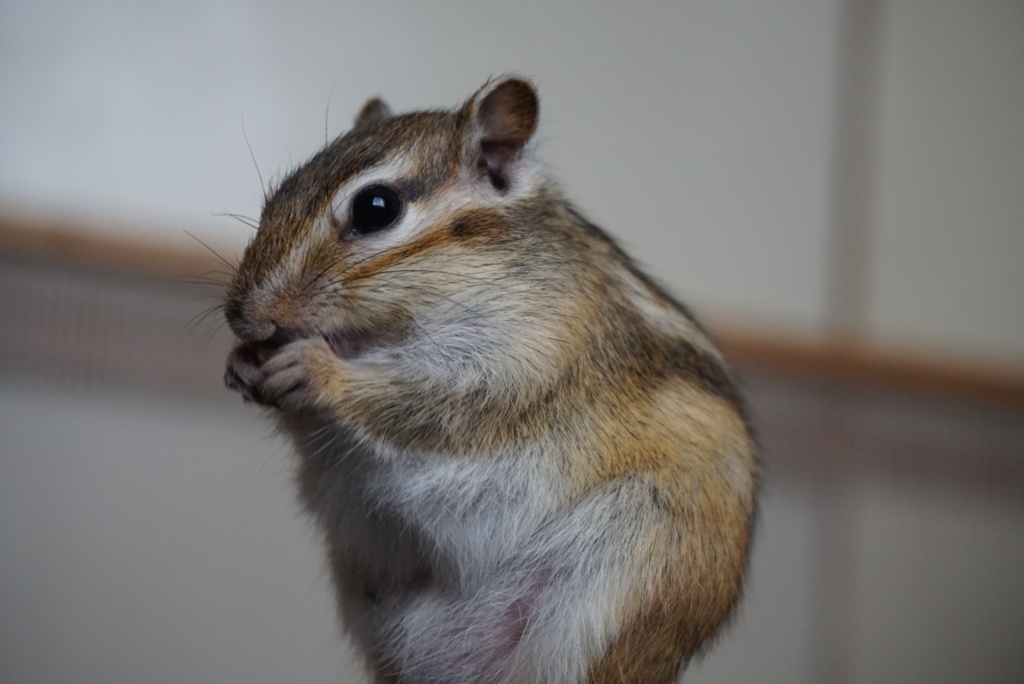 DSC02568