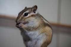 DSC02568