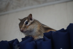 DSC00002