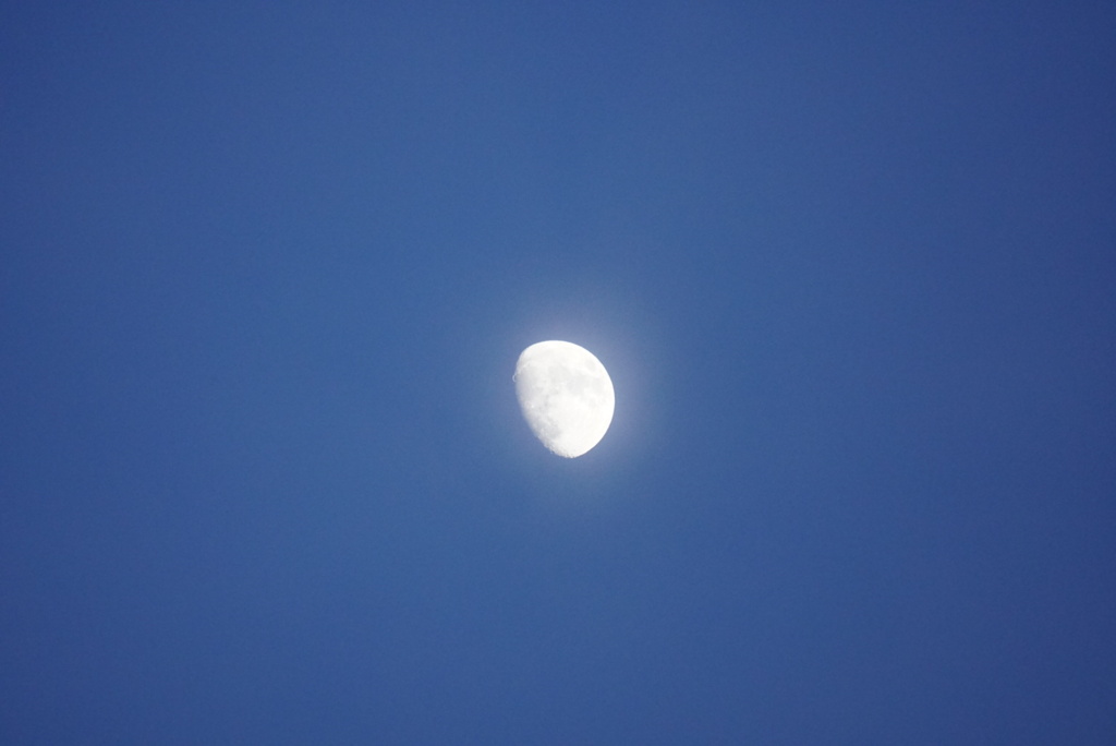 DSC02672_1