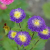 DSC03897