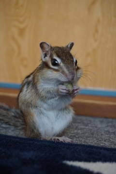 DSC00491