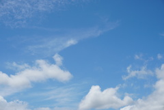 DSC09939