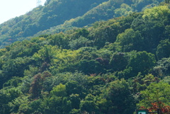 DSC06814