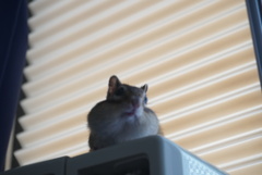 DSC00862