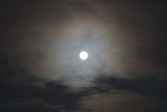 DSC03162_1
