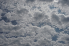 DSC04535_1