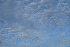 DSC06859_1