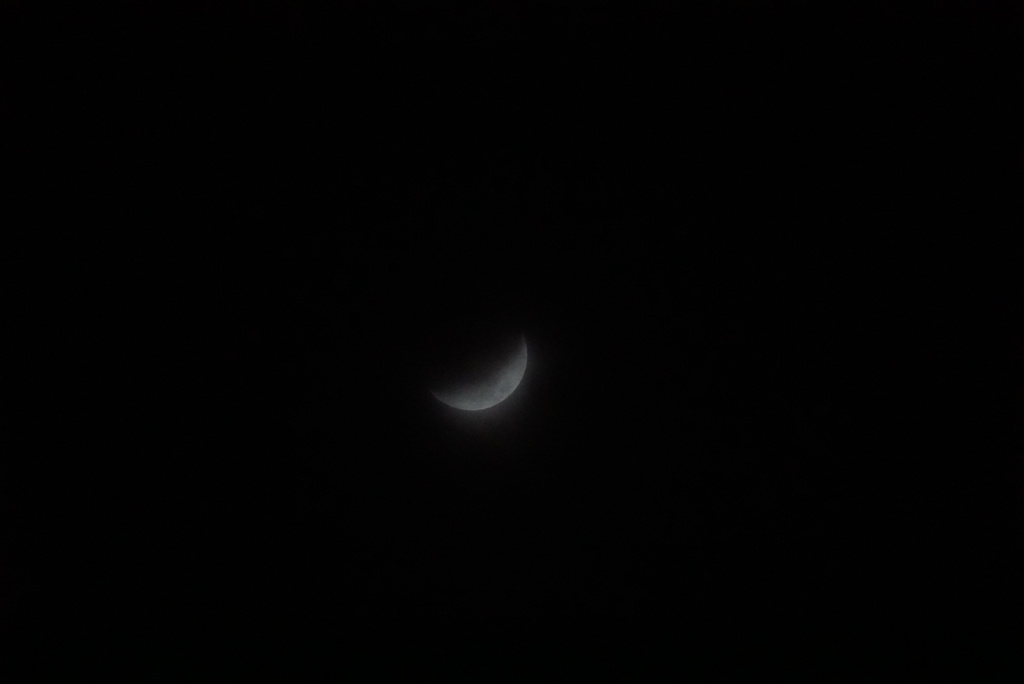 DSC05820