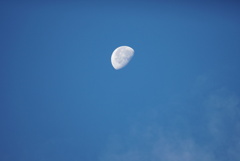 DSC06404