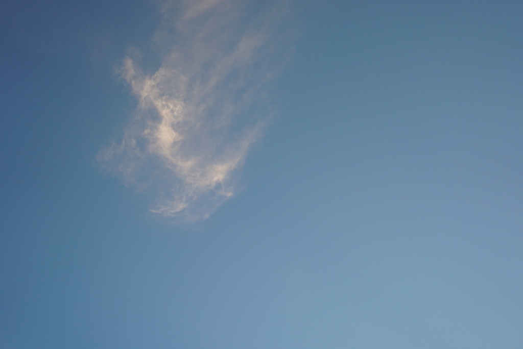 DSC07436_1