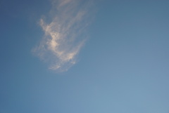 DSC07436_1