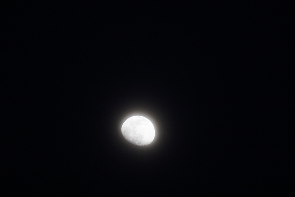DSC08255_1