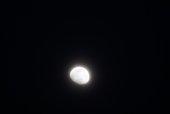 DSC08255_1