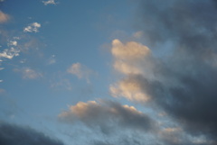 DSC01358_1