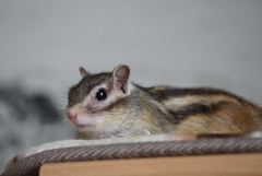 DSC08071