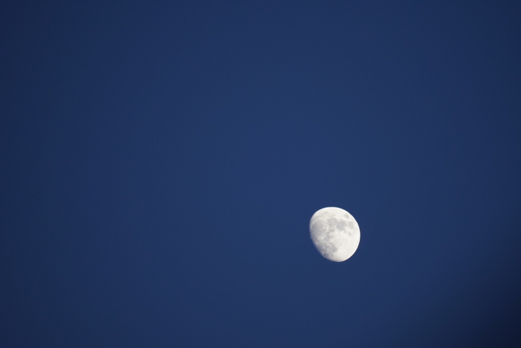 DSC02715_1