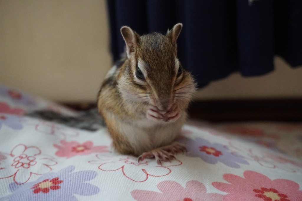DSC01508