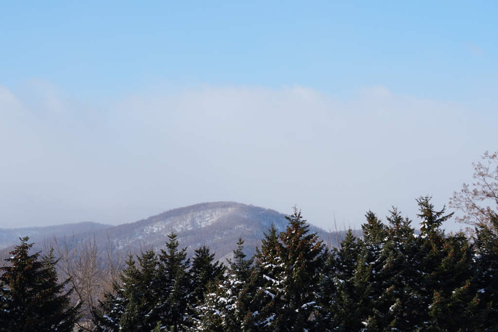 DSC04834_1