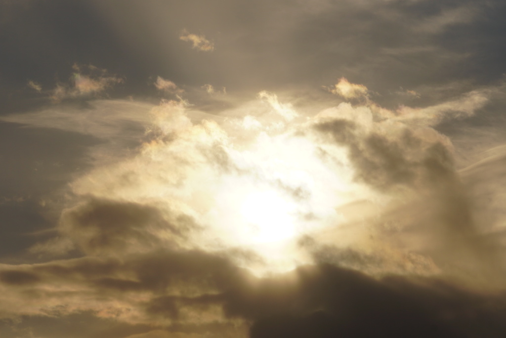DSC03720_1