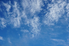 DSC04484_1