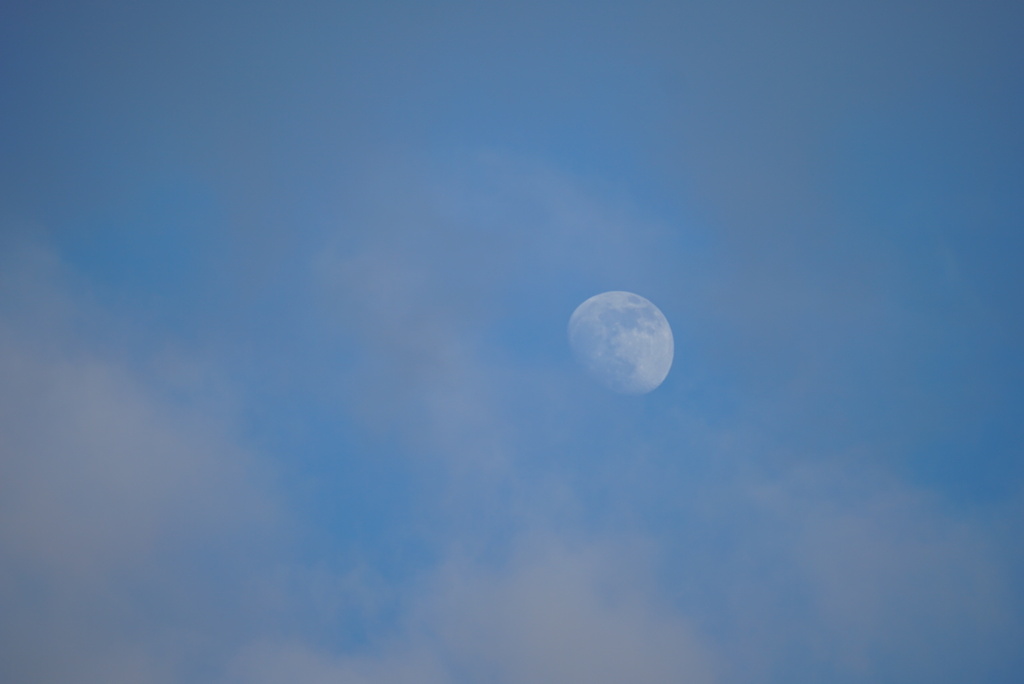 DSC04486_1