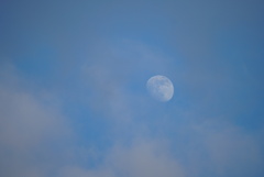 DSC04486_1