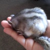 手のひらの中で