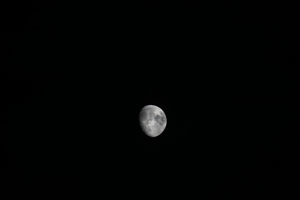 DSC00685_1