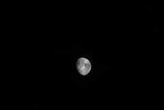 DSC00685_1