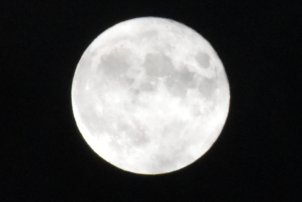 DSC_0384_1