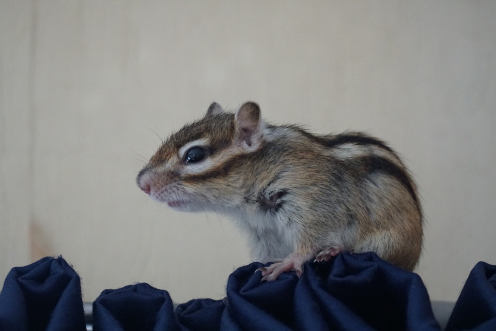 DSC09665