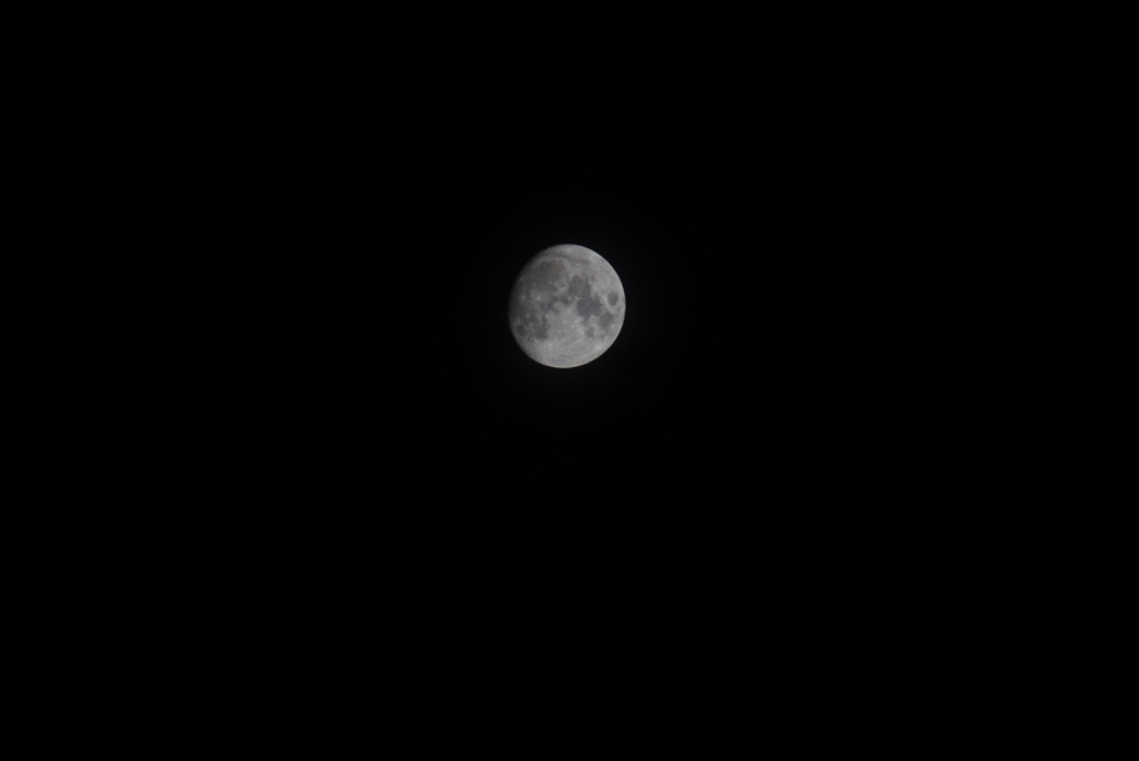 DSC05902
