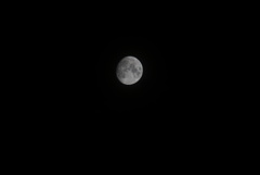 DSC05902