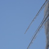DSC03604