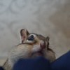 DSC03278