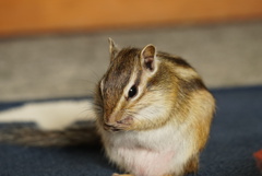 DSC00045