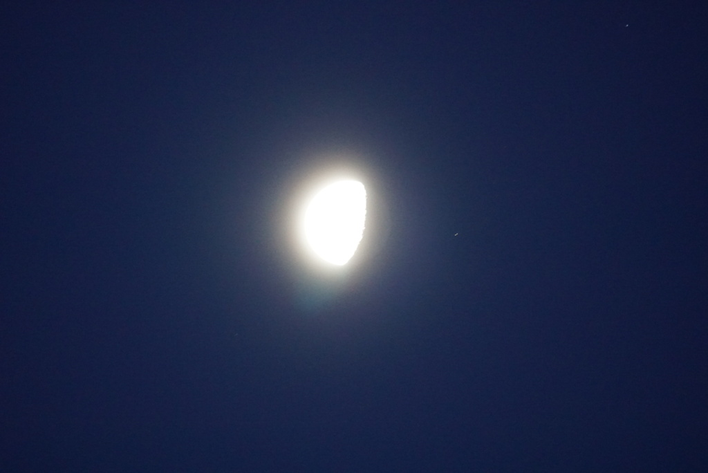 DSC03249